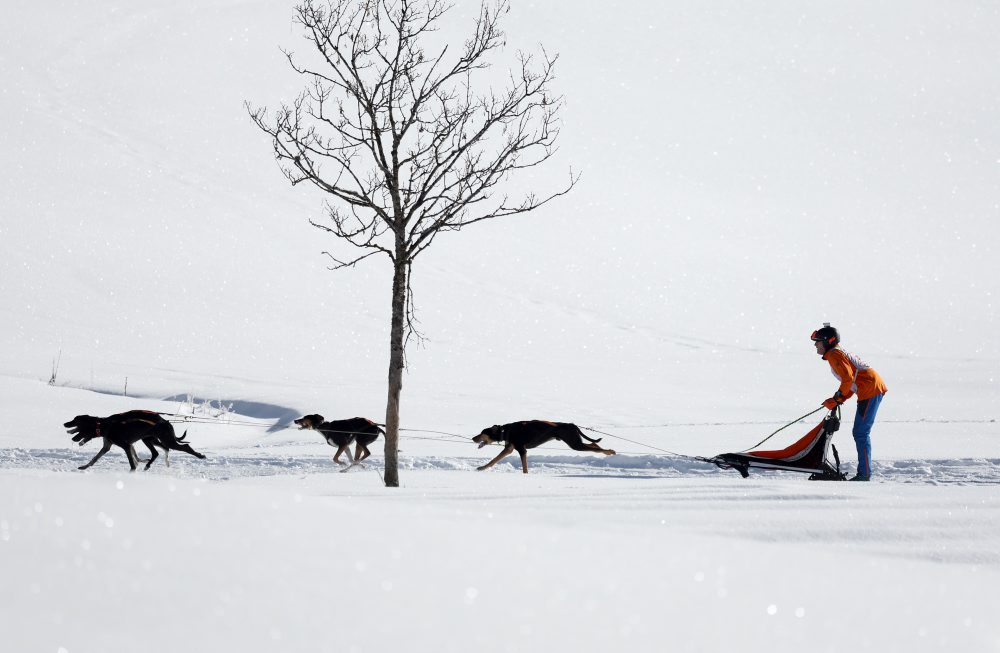 Mrazivá zima v Nemecku