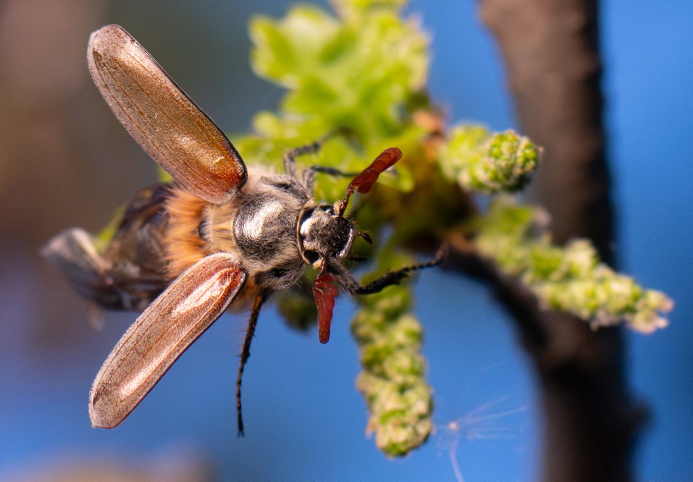 Denný život v Nemecku