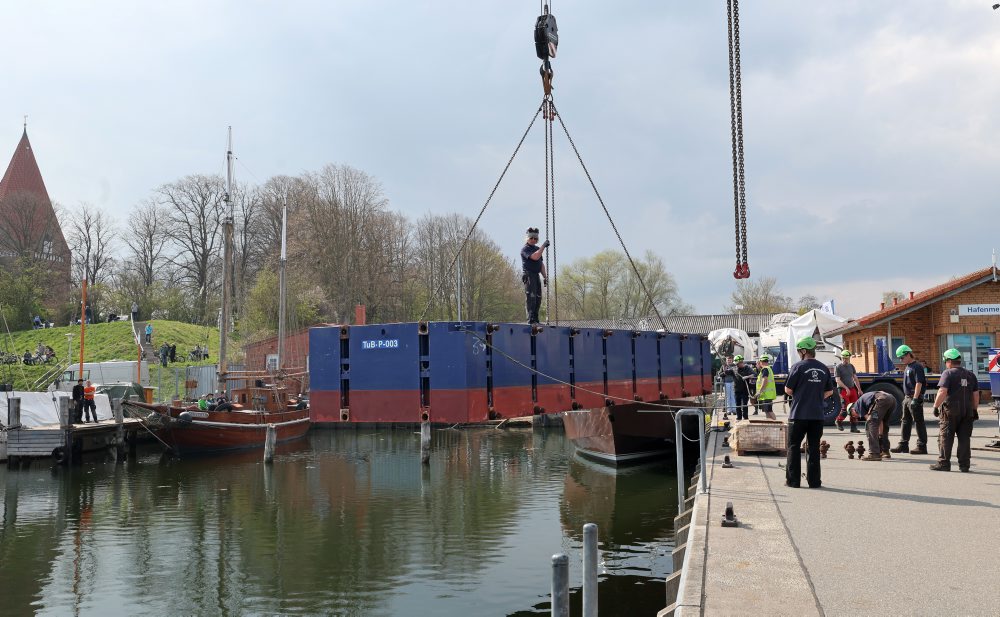 Pokus o záchranu uviaznutého vráskavca Timmyho v Nemecku 