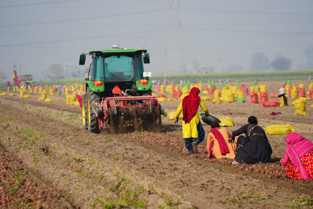 Umelá inteligencia v poľnohospodárstve v Indii 