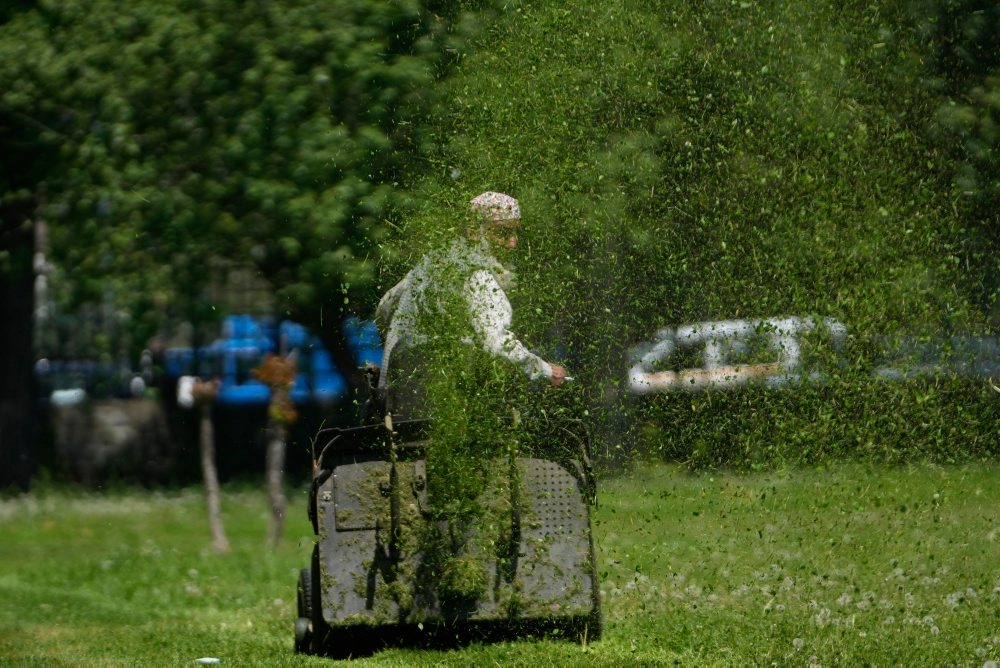 Deň Zeme v indickom Kašmíre