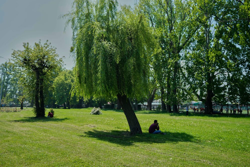 Deň Zeme v indickom Kašmíre