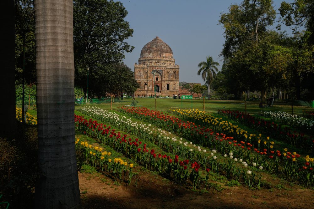 Festival tulipánov v indickom Naí Dillí