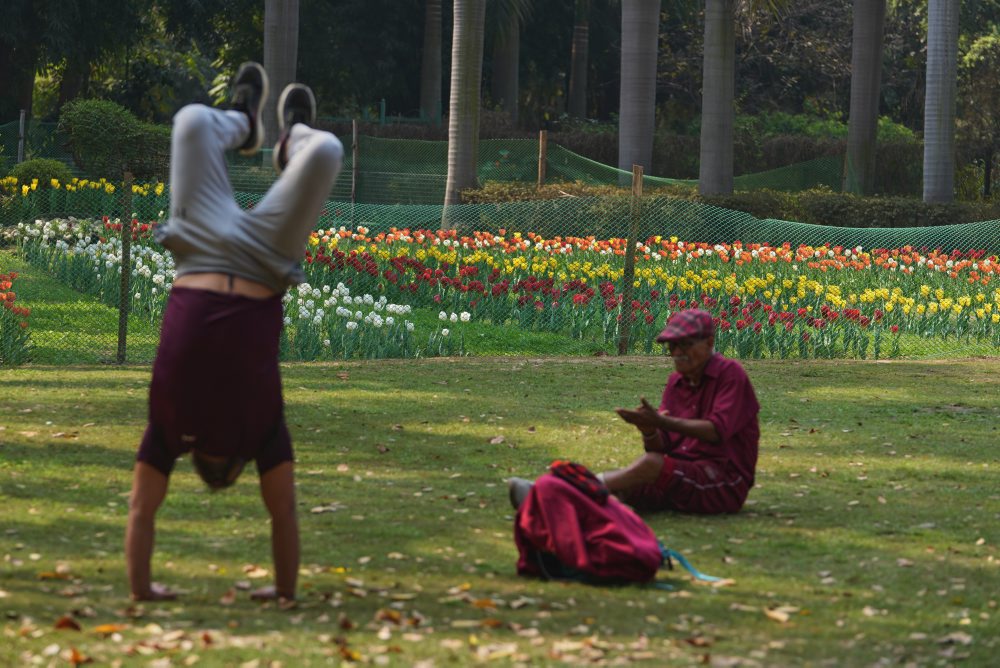 Festival tulipánov v indickom Naí Dillí