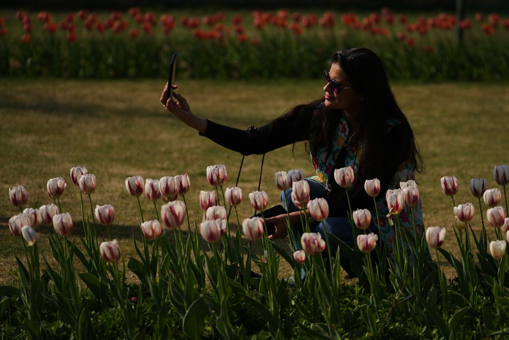 Festival tulipánov v indickom Naí Dillí