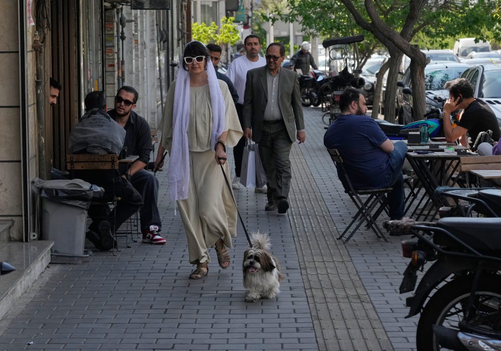 Prechádzka so psom v Teheráne 