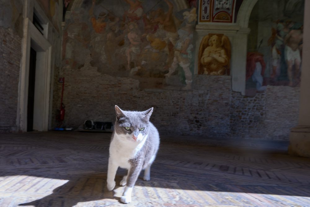 Kláštor v areáli Baziliky Panny Márie nad Minervou v Ríme 