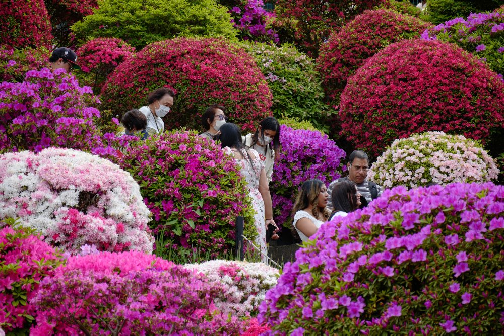 Denný život v Japonsku