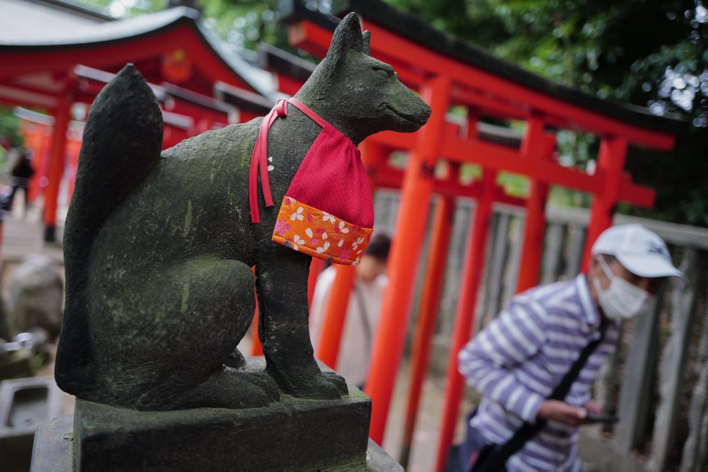 Kvitnúce azalky pri chráme Nezu v Tokiu