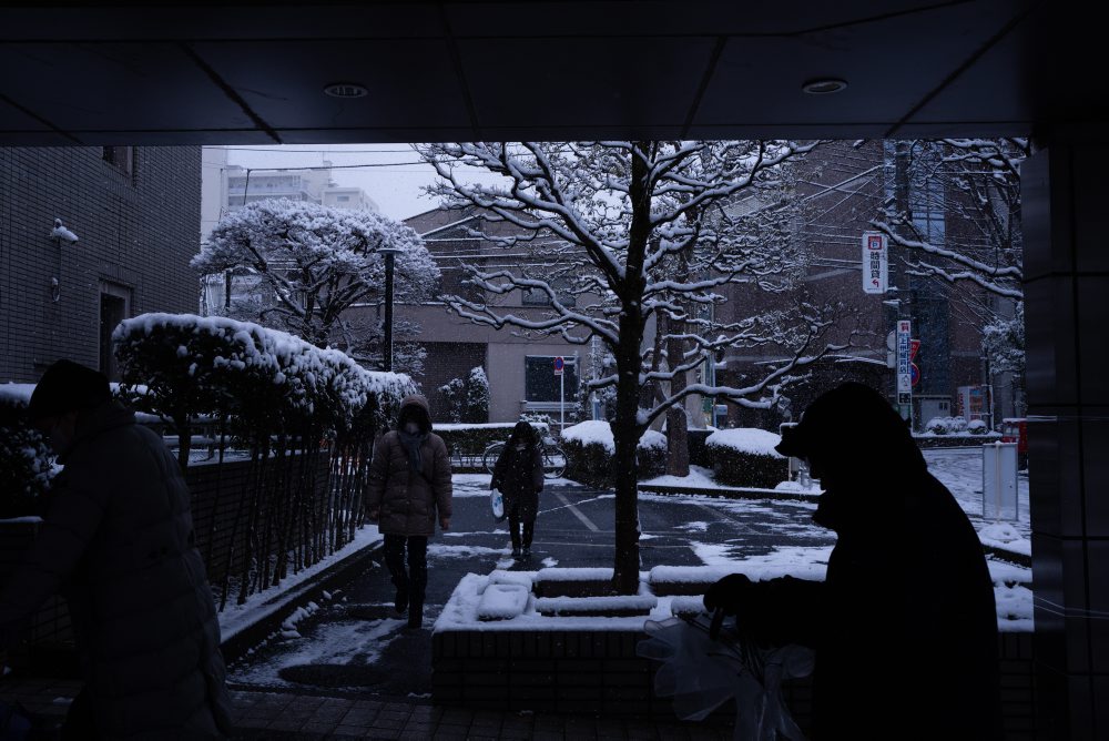 Parlamentné voľby v Japonsku 