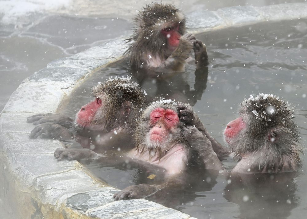 Každodenný život v Japonsku 