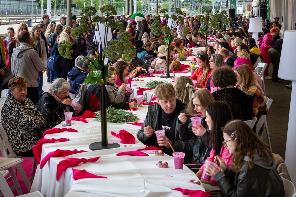 Festival Pink Soup Fest v Litve