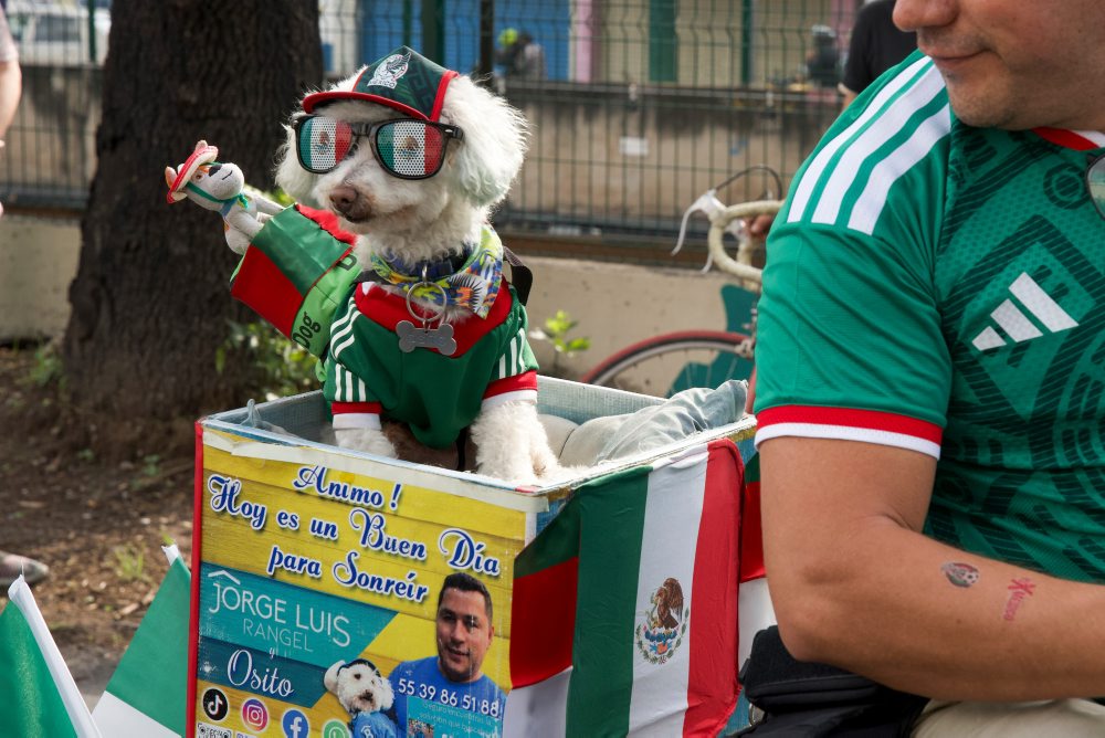 Mexiko – Juhoafrická republika
