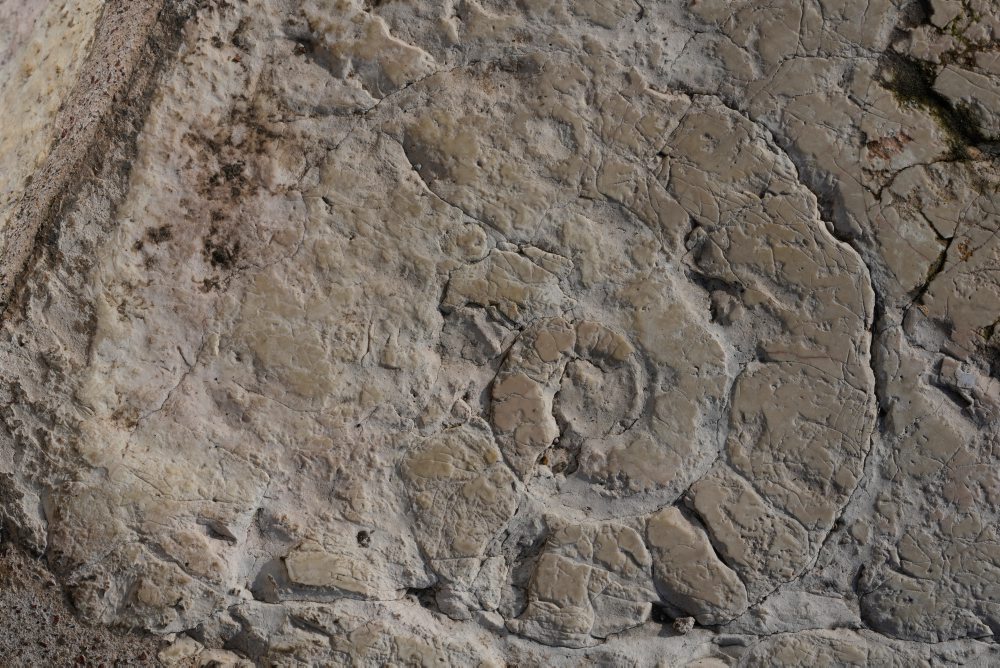 Amfiteáter vo Verone 