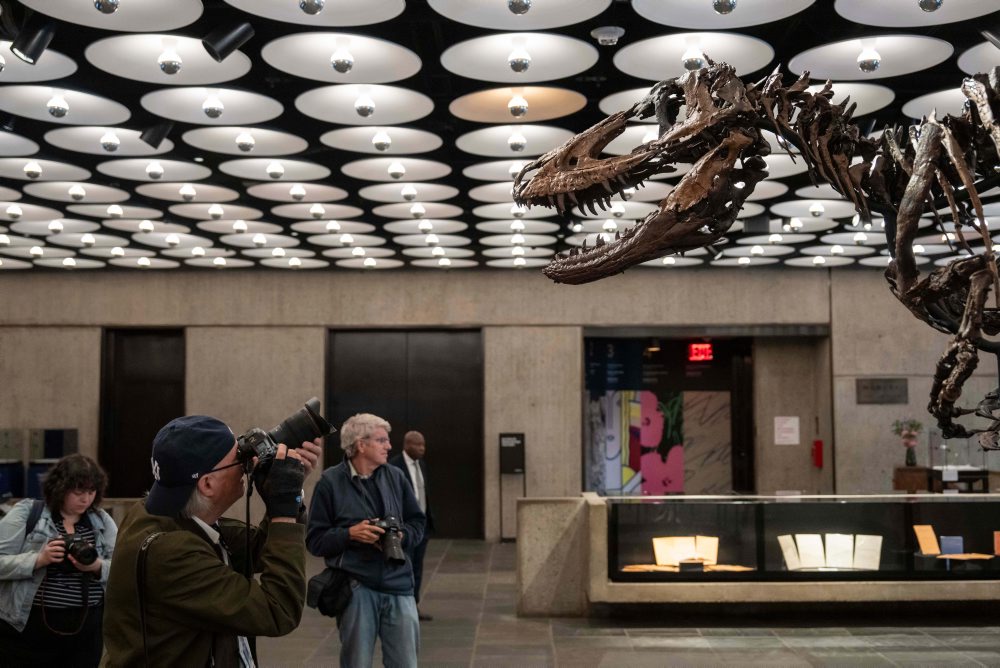 Kostra Nanotyranna v aukčnej sieni v New Yorku