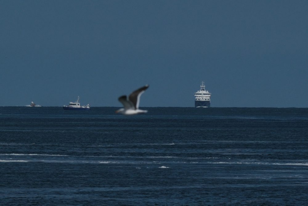 Loď MV Hondius zakotví v Rotterdame, WHO považuje riziko nákazy naďalej za nízke