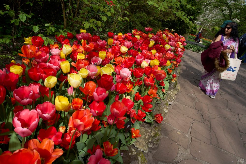 Svetoznáma holandská kvetinová záhrada a výstavisko Keukenhof v obci Lisse