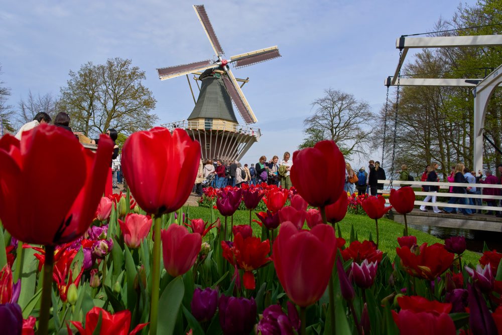 Svetoznáma holandská kvetinová záhrada a výstavisko Keukenhof v obci Lisse