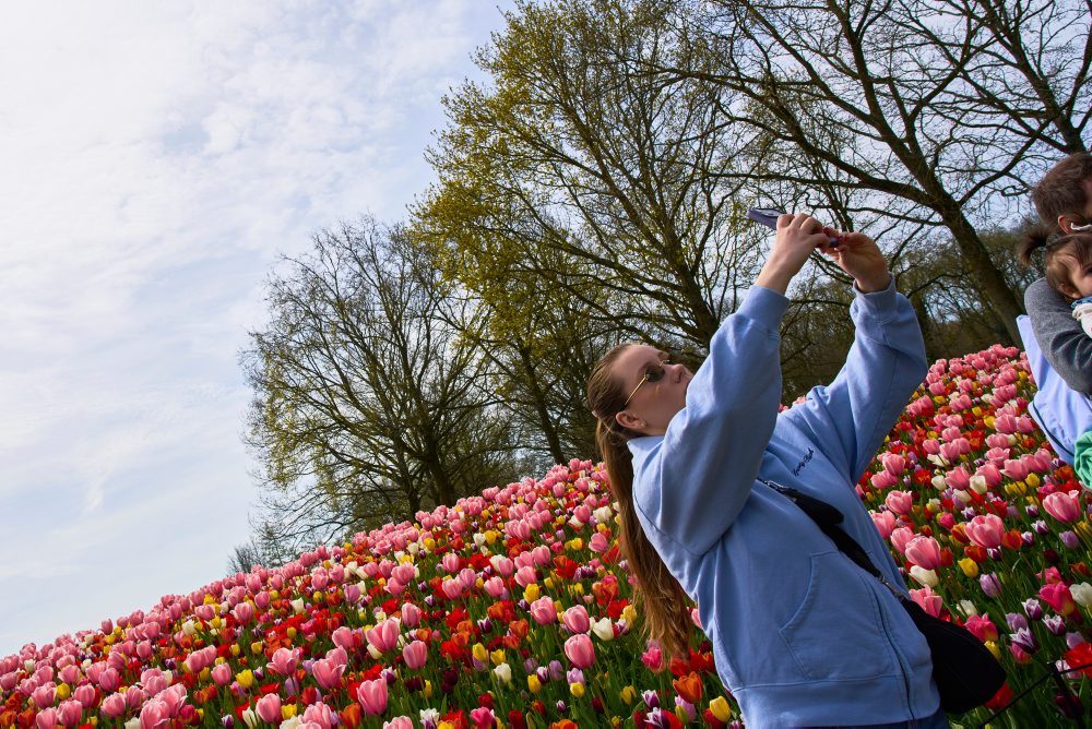 Svetoznáma holandská kvetinová záhrada a výstavisko Keukenhof v obci Lisse