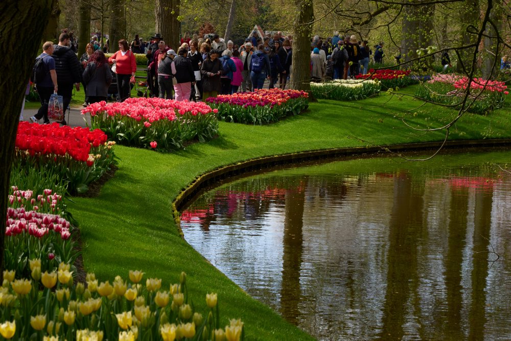 Svetoznáma holandská kvetinová záhrada a výstavisko Keukenhof v obci Lisse