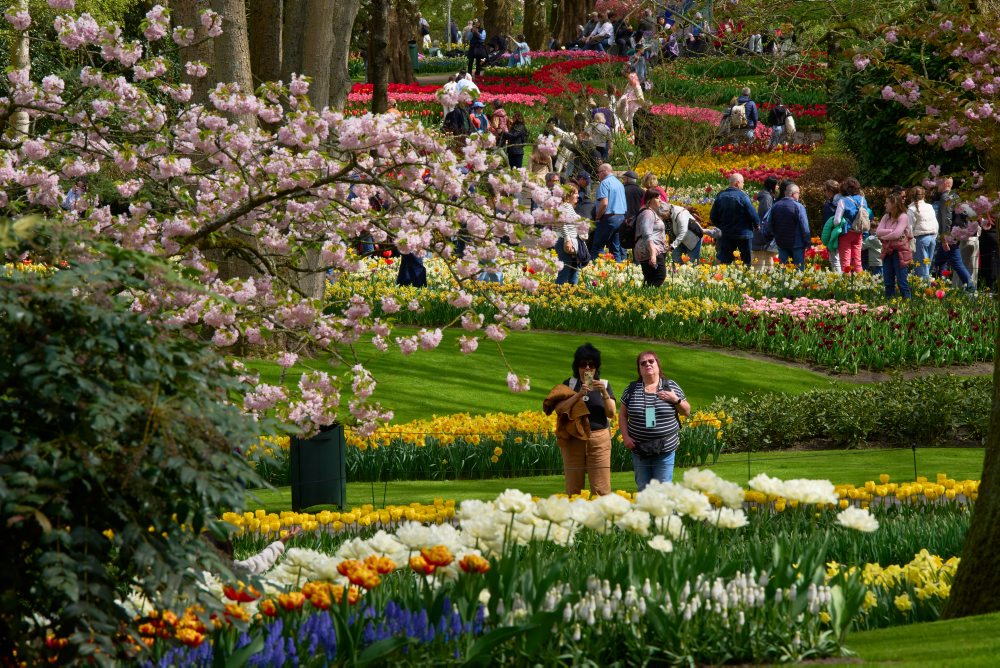 Svetoznáma holandská kvetinová záhrada a výstavisko Keukenhof v obci Lisse