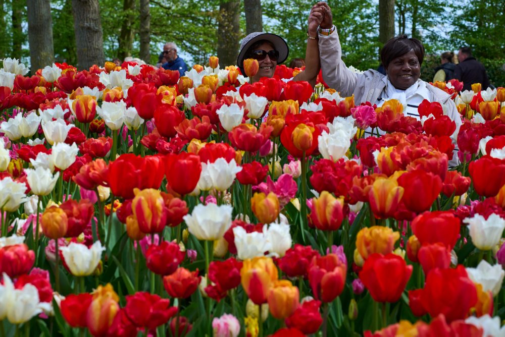 Svetoznáma holandská kvetinová záhrada a výstavisko Keukenhof v obci Lisse
