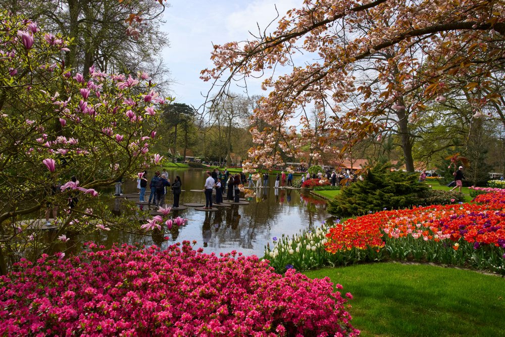 Svetoznáma holandská kvetinová záhrada a výstavisko Keukenhof v obci Lisse