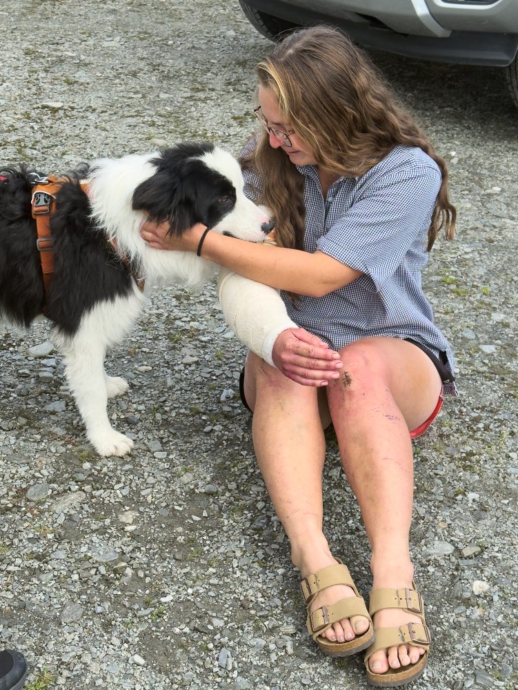 Stratený pes sa opäť stretol so svojou majiteľkou týždeň po tom, ako spadla z vodopádu