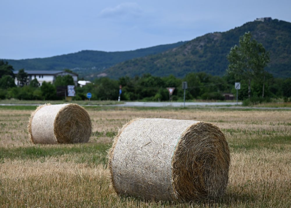 Balíky slamy na poli pri obci Vinné