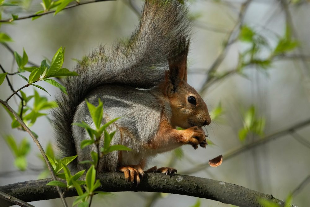 Denný život v Rusku