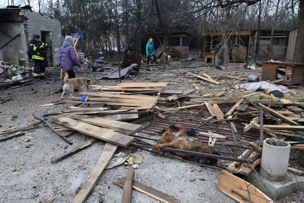 Útok Ruska na psí útulok
