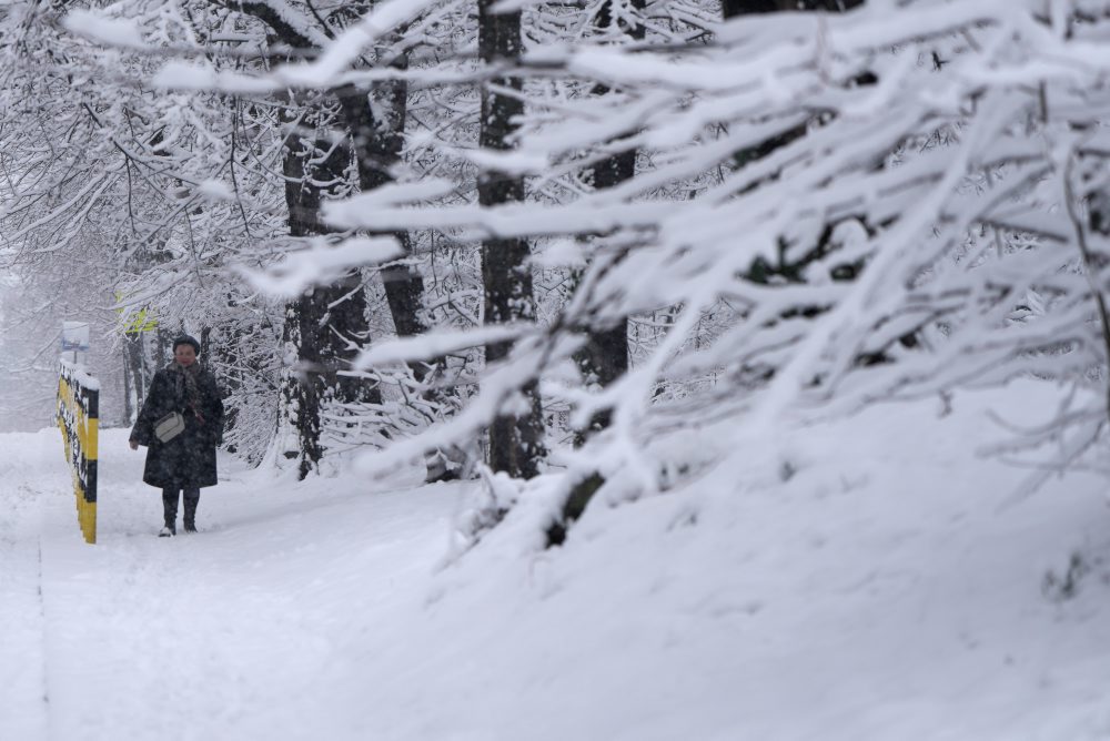 Sneženie v Srbsku