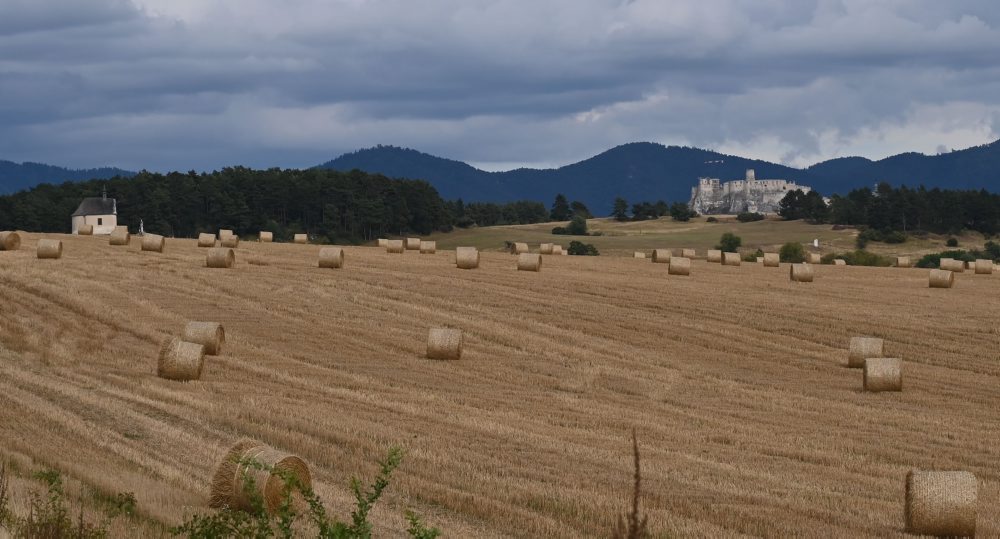 Národná prírodná rezervácia Sivá brada 