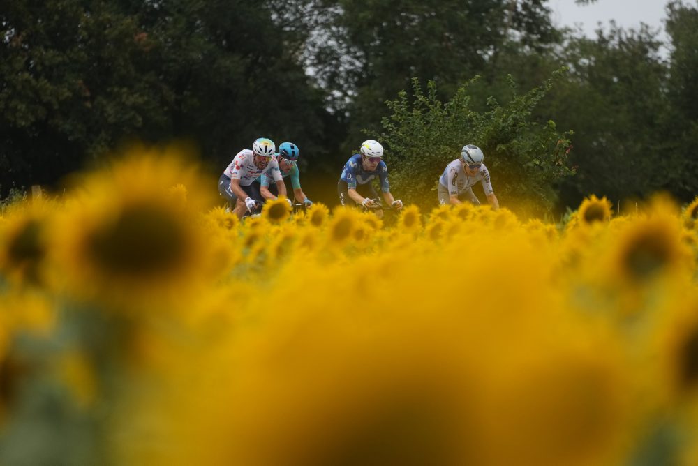 12. etapa cyklistických pretekov Tour de France
