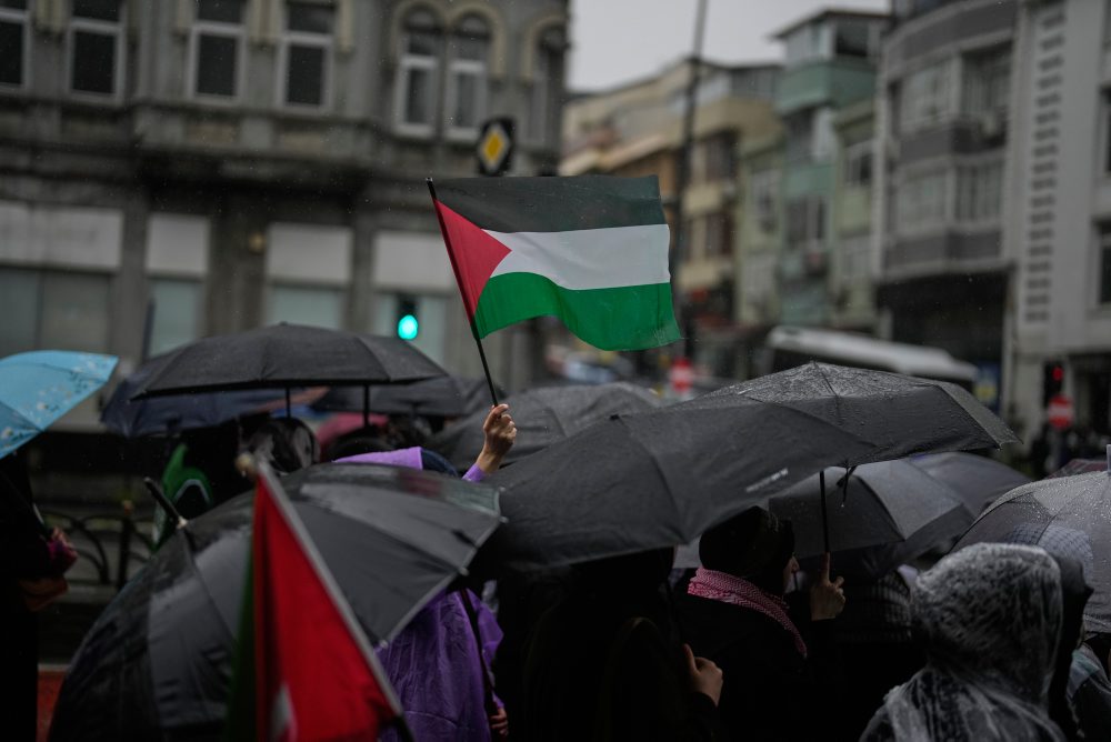 Propalestínske protestné zhromaždenie v Istanbule