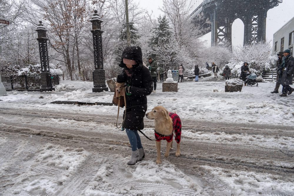 US Extreme Weather New York