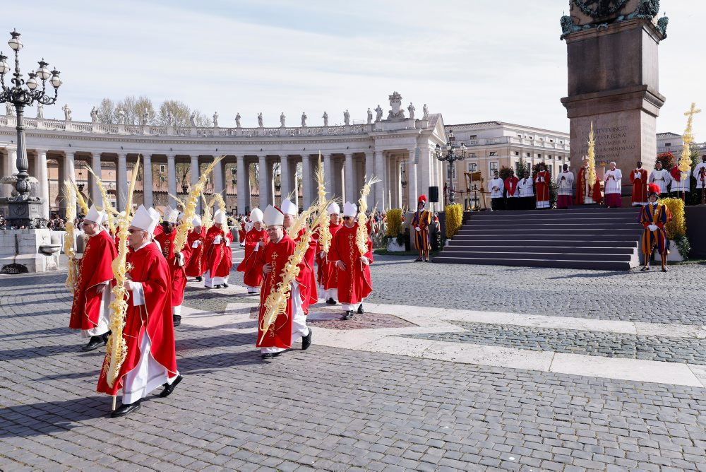 Pápež Lev XIV. celebroval bohoslužbu v Palmovú (Kvetnú) nedeľu na Námestí Sv. Petra vo Vatikáne