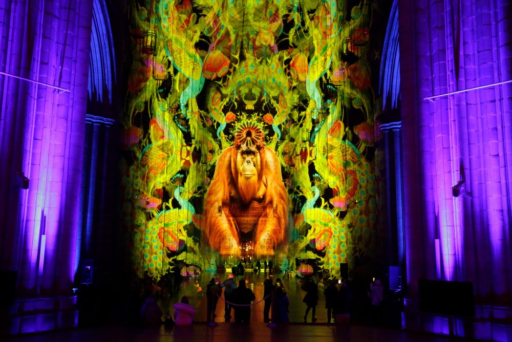 Svetelná šou v Národnej katedrále vo Washingtone