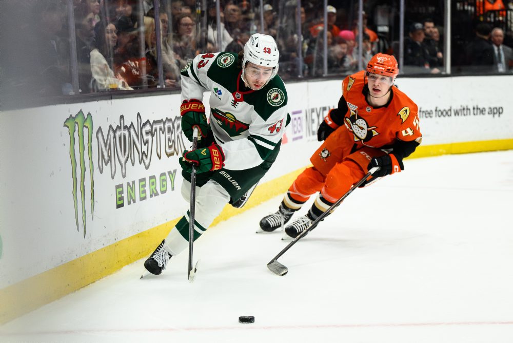 Anaheim Ducks - Minnesota Wild