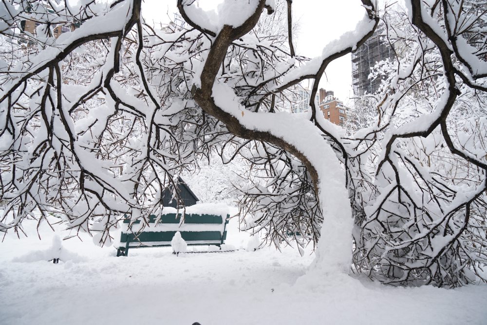 Severovýchod USA zasiahlo husté sneženie so silným vetrom