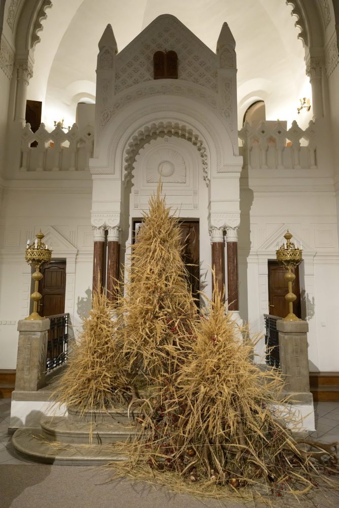 Výstava ŠEPOTY v nitrianskej synagóge 