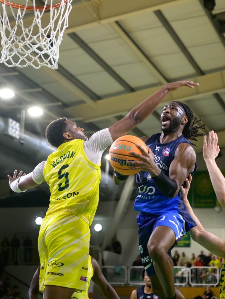 Patrioti Levice - Nitra Blue Wings