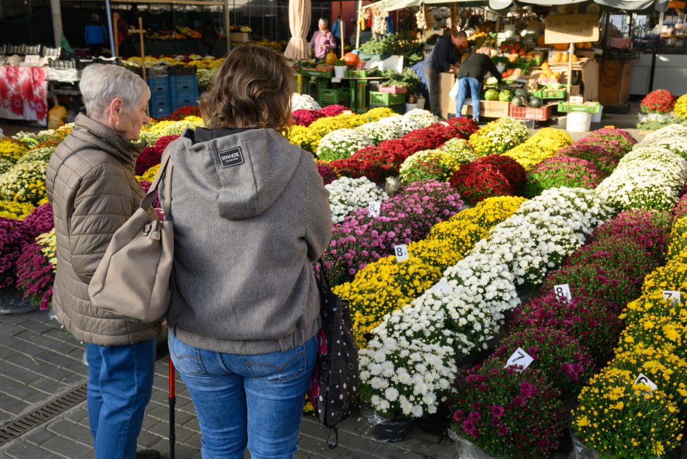 Predaj chryzantém pred Sviatkom všetkých svätých a Pamiatkou zosnulých na tržnici v Nitre