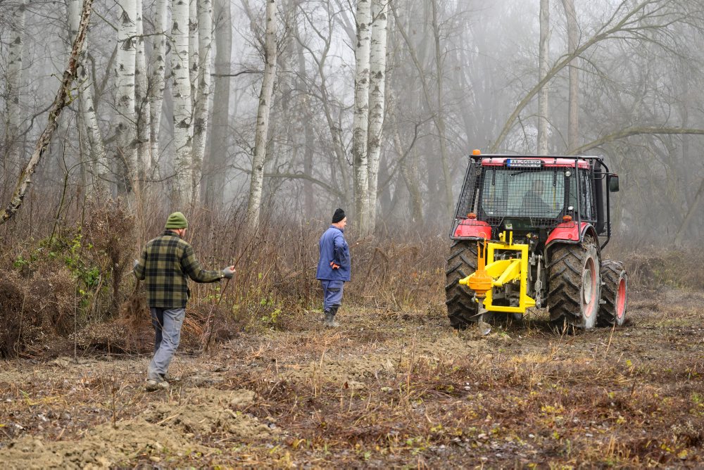 Výsadba pôvodných drevín v rámci obnovy lužného lesa pri obci Číčov