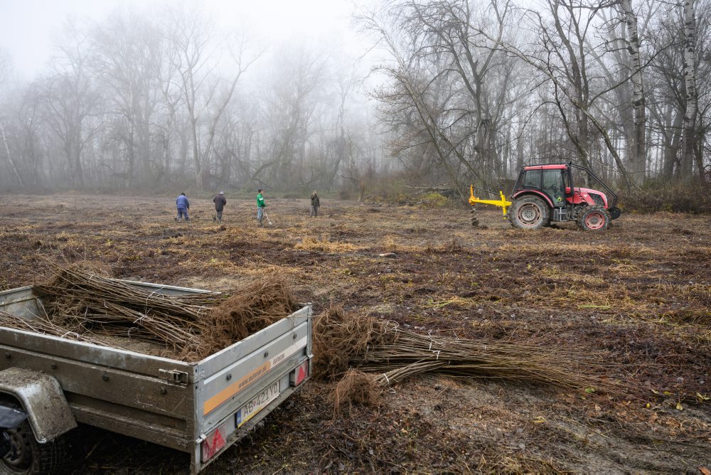 Výsadba pôvodných drevín v rámci obnovy lužného lesa pri obci Číčov