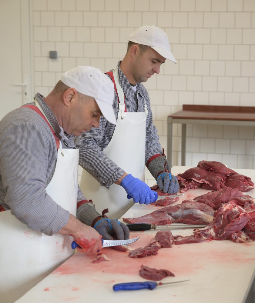 Spracovanie diviny v Stredisku služieb štátneho podniku Lesy SR v Topolčiankach 