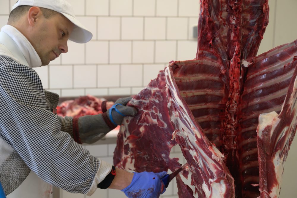 Spracovanie diviny v Stredisku služieb štátneho podniku Lesy SR v Topolčiankach 