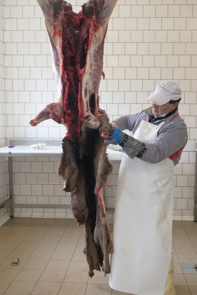 Spracovanie diviny v Stredisku služieb štátneho podniku Lesy SR v Topolčiankach 