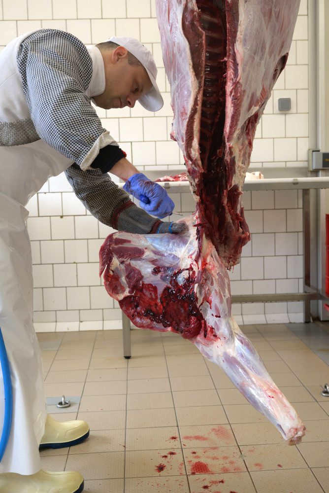 Spracovanie diviny v Stredisku služieb štátneho podniku Lesy SR v Topolčiankach 