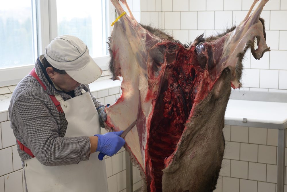 Spracovanie diviny v Stredisku služieb štátneho podniku Lesy SR v Topolčiankach 